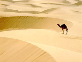 Sahara - đệ nhất sa mạc