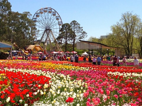 Lễ hội hoa Floriade ở Australia