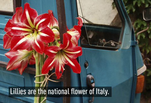 20 điều thú vị về Italy