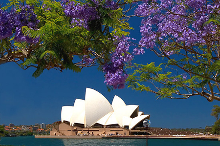 Lễ hội hoa Floriade – cuộc hẹn mùa Xuân nước Úc