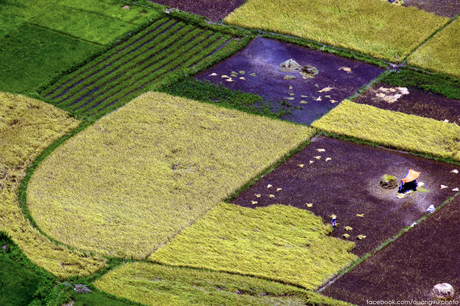 Vẻ đẹp mê hoặc của cánh đồng lúa mới gặt ở Bắc Sơn