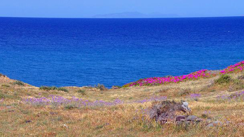 Những mảng màu quyến rũ ở Santorini