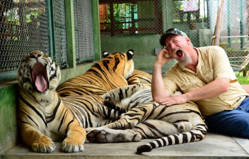 Thái Lan mở cửa trở lại một công viên hổ