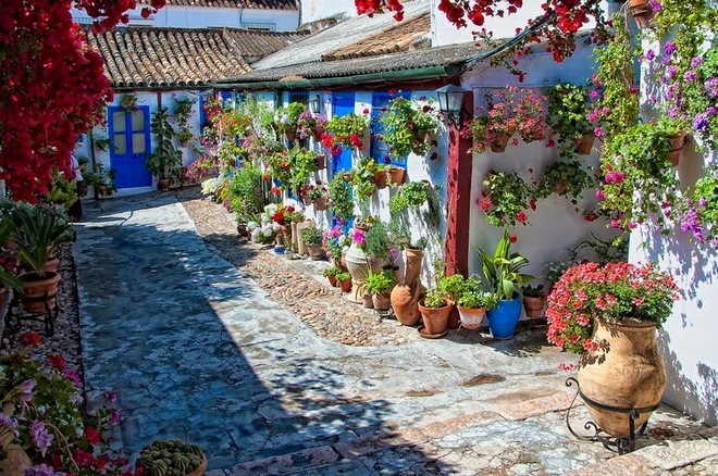 Rực rỡ lễ hội hoa bên hiên nhà ở Tây Ban Nha