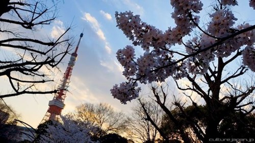 20 lý do khiến người Nhật cảm thấy may mắn khi sinh ra tại Nhật Bản