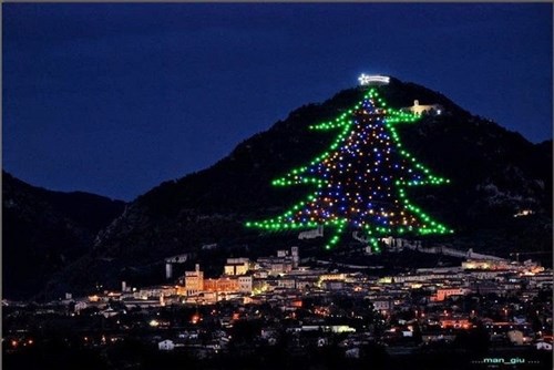 Cây thông Noel lớn nhất thế giới đã được thắp sáng