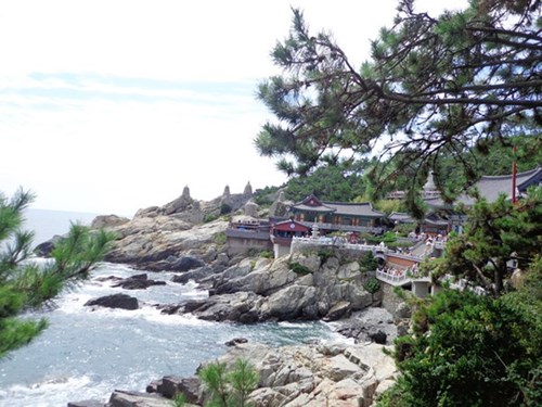 Chiêm ngưỡng ngôi chùa bên bờ biển đẹp nhất Hàn Quốc