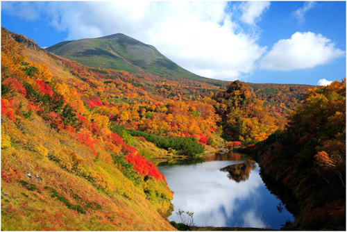 Trải nghiệm vẻ đẹp Hokkaido mùa lá đỏ