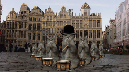 Bỉ tận dụng ‘cơn sốt mèo’ để hút khách sau khủng bố