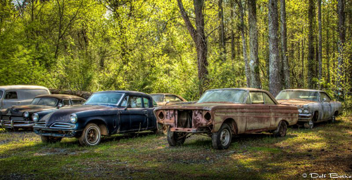 ‘Nghĩa địa xe hơi’ ẩn mình trong rừng rậm Mỹ
