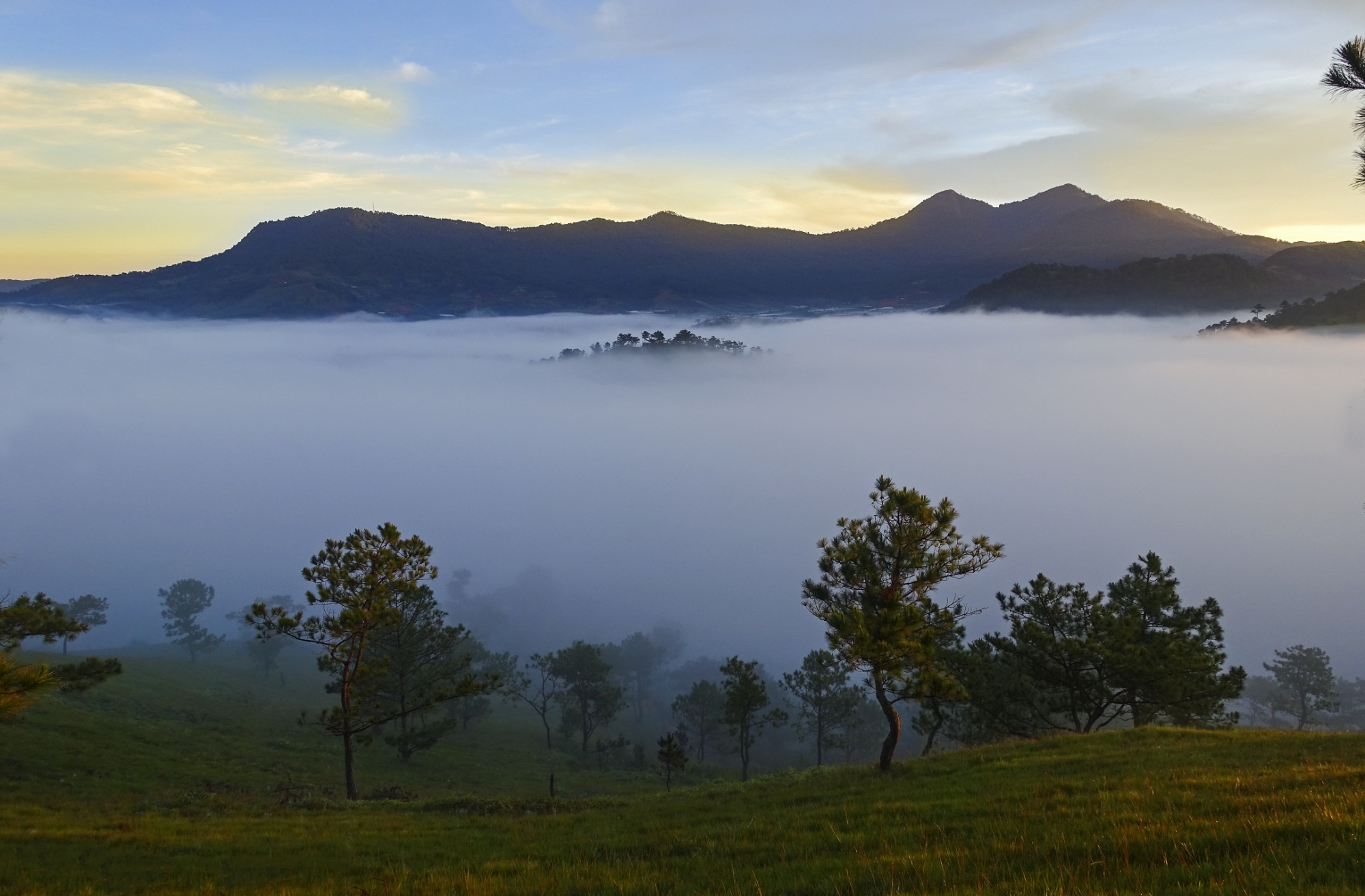 Bộ ảnh Đà Lạt đẹp mộng mơ trong sương mù | Cảnh Đẹp Blog