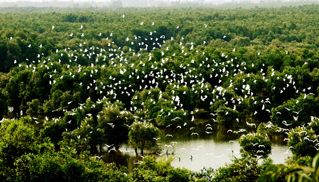 Ngày hội du lịch Đồng Tháp tại Vườn quốc gia Tràm Chim