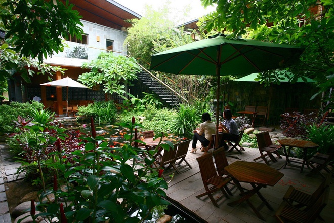 Quán cà phê hút khách bởi kiến trúc cây xanh và hồ cá ở Đà Nẵng
