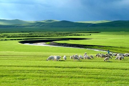 Thảo nguyên Mông Cổ bình yên mùa thu đến
