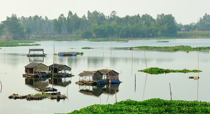 Khám phá hồ nước ngọt Búng Bình Thiên mùa nước nổi