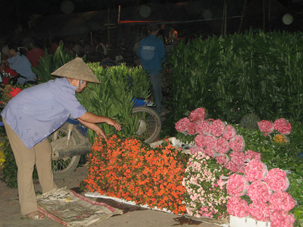 Ngắm muôn sắc hoa rực rỡ ở chợ hoa đêm đất Cảng