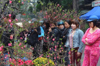 Hàng Lược, chợ hoa xuân nổi tiếng đất Hà thành