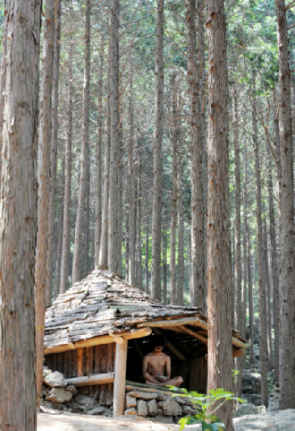 Thoải mái ‘tắm tiên’ trong rừng ở Hàn Quốc