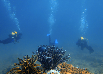 Cơ hội khám phá sự sống dưới lòng biển sâu