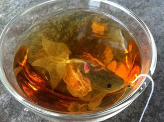 Trà túi lọc cực “độc” biến cốc trà của bạn thành … bể cá