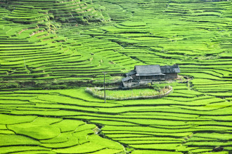 21 lý do khiến du khách yêu Việt Nam