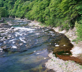 Suối nước nóng ở Nhật đóng cửa vì xuất hiện cảnh ‘mát mẻ’