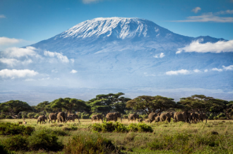 Tanzania - điểm đến hấp dẫn tại châu Phi