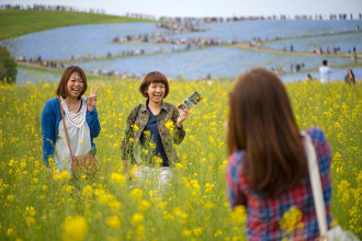 ‘Biển hoa’ ở công viên Hitachi Seaside Nhật Bản