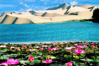 Bàu Trắng Bình Thuận - Thiên nhiên hoang sơ đẹp thuần khiết