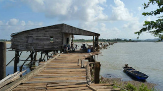Thực hư cây cầu gỗ dài nhất Việt Nam bị ‘xóa sổ’ sau lũ 