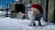 Những câu chuyện thú vị về ‘ông già Noel’ trên khắp thế giới