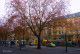 Vẻ đẹp Berlin những ngày đầu đông