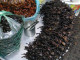 Những món ăn đáng sợ nhất thế giới