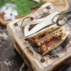 Hương vị mùa thu Nhật Bản từ nấm Matsutake 