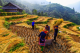 Mùa thu đa sắc màu trên khắp thế giới 