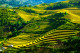 Nhiều tour giảm giá dịp Quốc khánh 